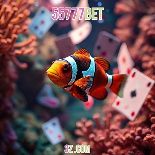 Bingo no 55777bet: Jogadas que Transformam Emoções em Prêmios