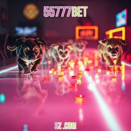 Sorteios e Emoções na Lottery do 55777bet